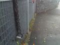 22-10-09_1023 (leg-up over wall)