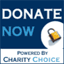 Donate now button