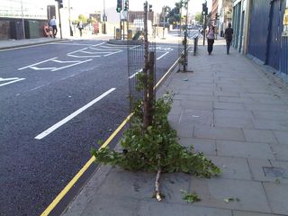 IMG00154-20100722-0753