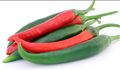 Chilli