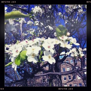 Spring4