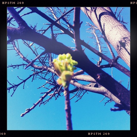 Spring6