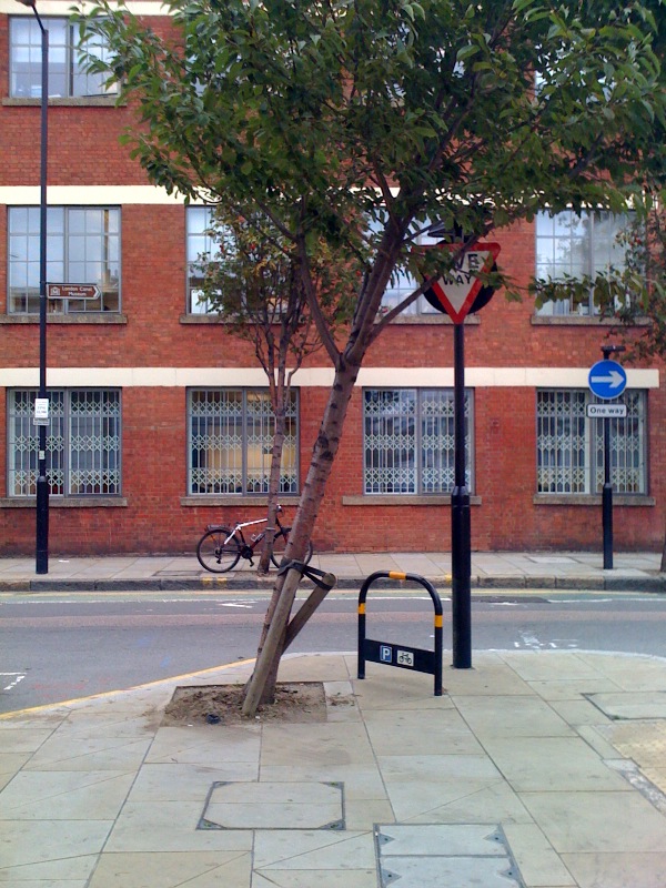 Tree hit by vehicle wharfdale Rd