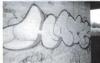 Oldhatedub